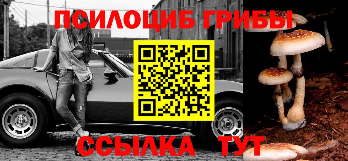 Галлюциногенные грибы GOLDEN TEACHER  Вход с VPN  купить закладку  Стерлитамак 